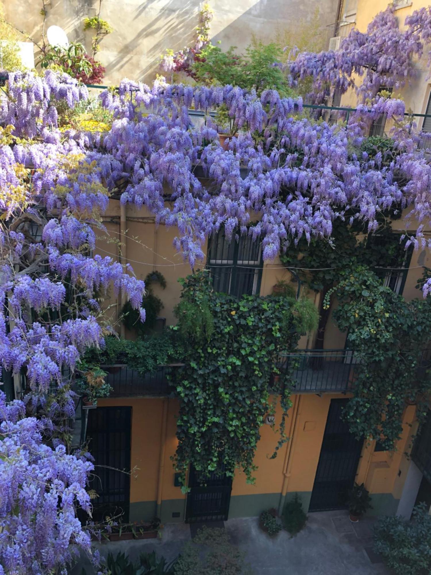 La Casa Degli Angeli Apartamento Turim Exterior foto