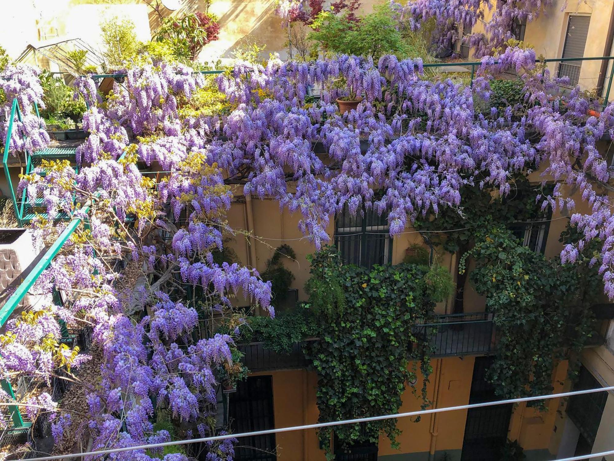 La Casa Degli Angeli Apartamento Turim Exterior foto